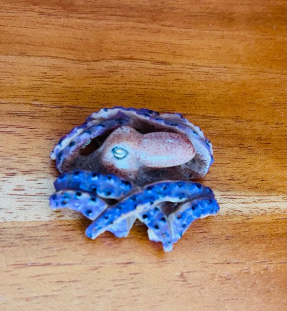 PULPO